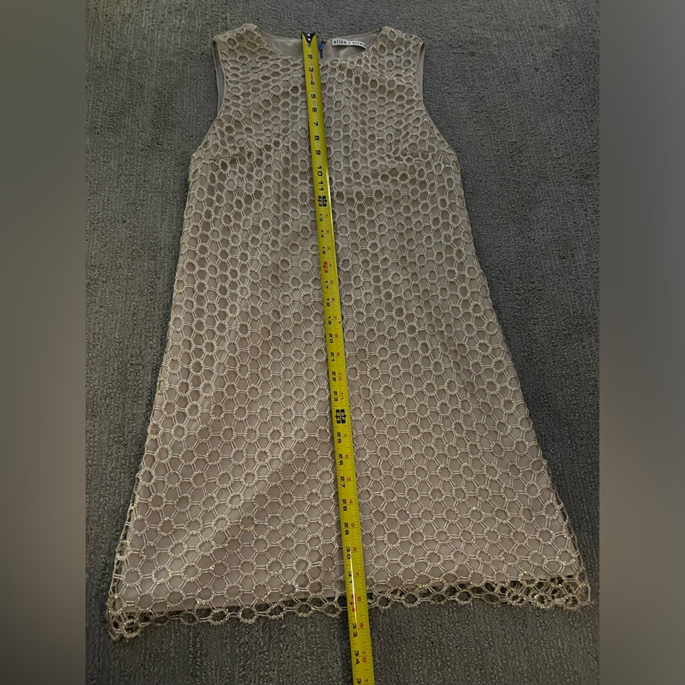 Alice and Olivia Clyde Crochet Shift Dress. New condition, no signs of wear. - Picture 5 of 6